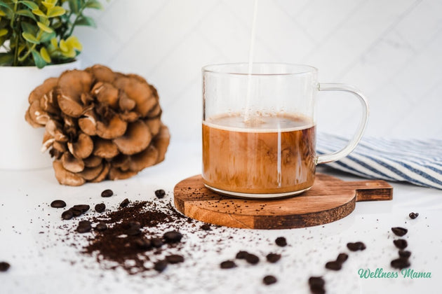 Caribbrew Mushroom Vitalsip Arabica Coffee 6oz - Caribbrew