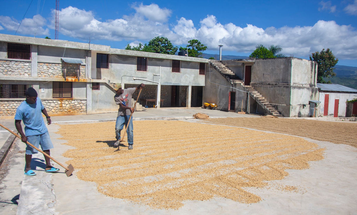 Farmers' Fund - CaribbrewFarmers' Fund 20